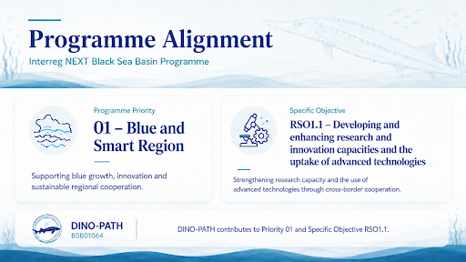 DINO-PATH programme alignment